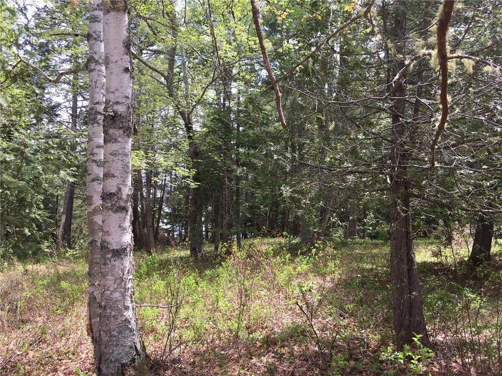 48 Ocean House Road Sullivan, ME 04664 - Photo 2 of 9 Photo