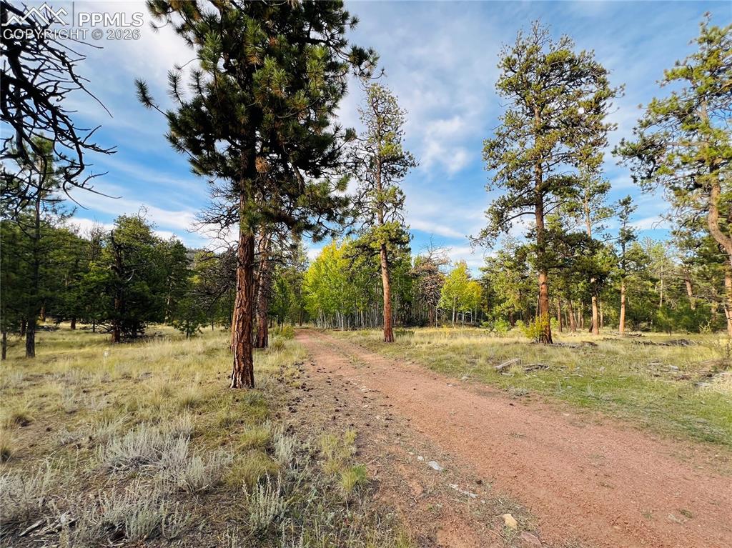 3800 Doe Valley Road Guffey, CO 80820 - Photo 42 of 43