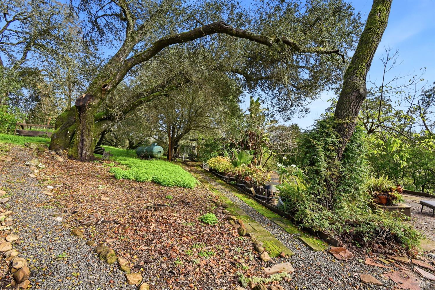 6825 Enterprise Road Glen Ellen, CA 95442 - Photo 36 of 51 a backyard of a house with lots of green space