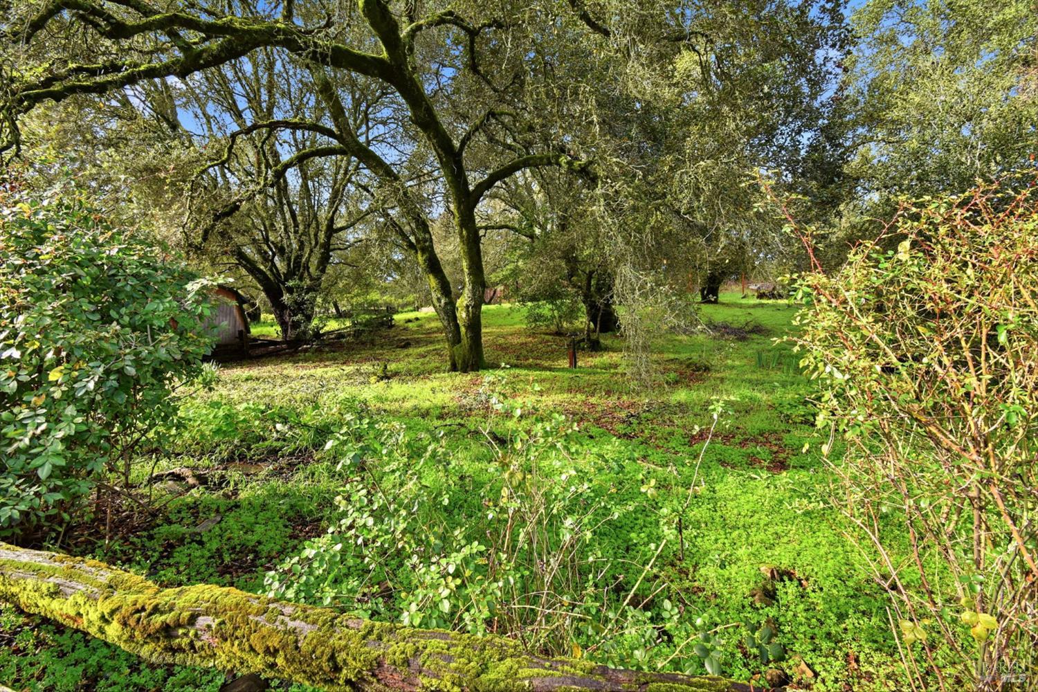 6825 Enterprise Road Glen Ellen, CA 95442 - Photo 38 of 51 a backyard of a house with lots of green space