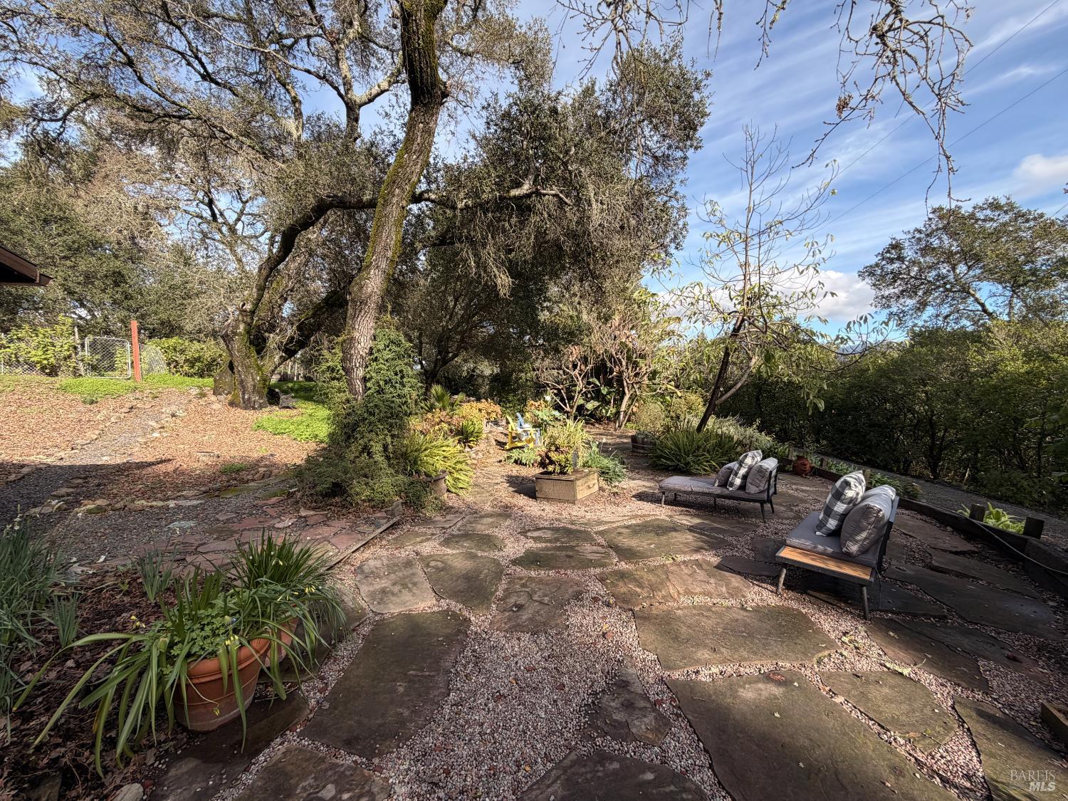 6825 Enterprise Road Glen Ellen, CA 95442 - Photo 40 of 51 a view of a backyard with large trees