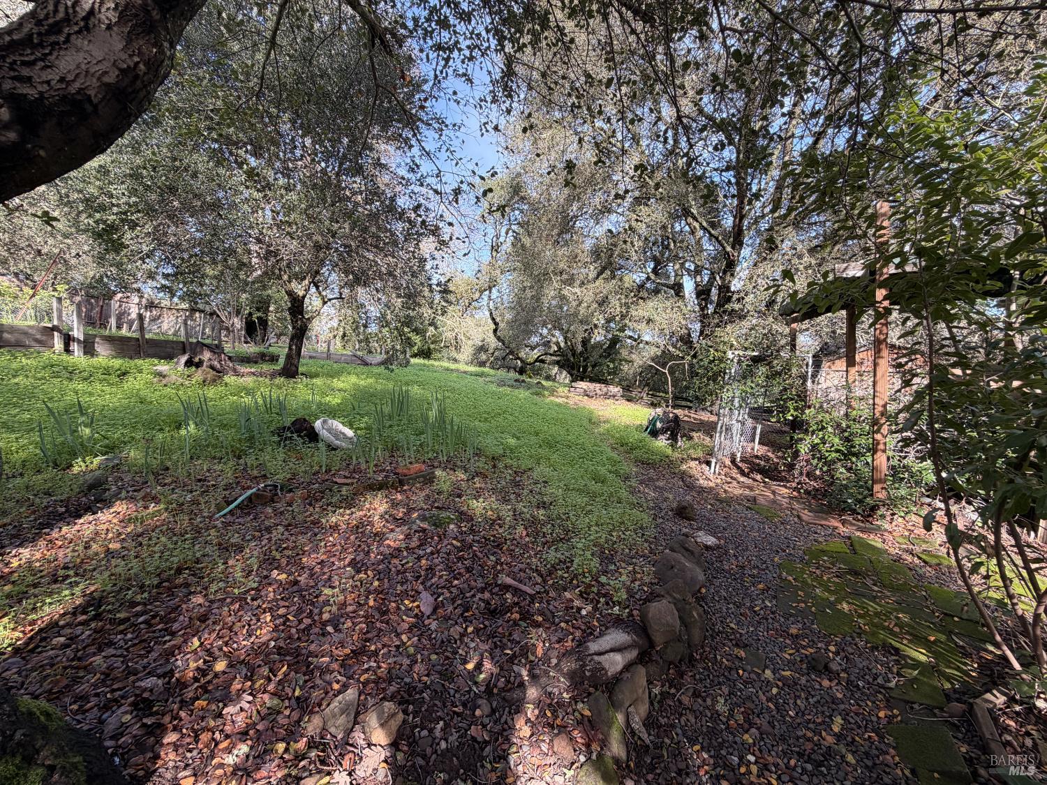 6825 Enterprise Road Glen Ellen, CA 95442 - Photo 42 of 51 a big yard with lots of green space and deers