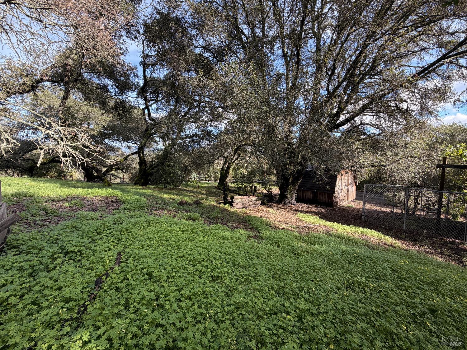6825 Enterprise Road Glen Ellen, CA 95442 - Photo 43 of 51 a view of a park with large trees