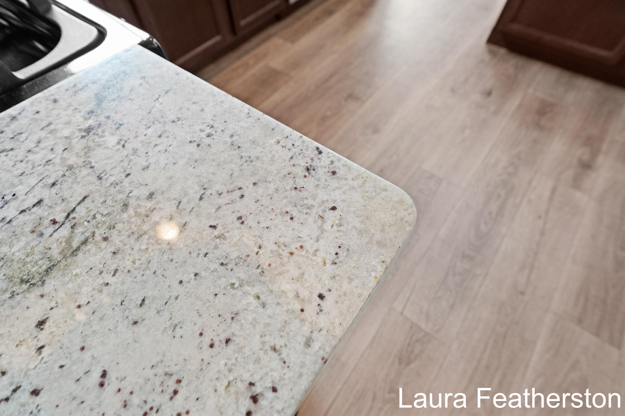 11740 Ridge Water Drive Northeast Sparta, MI 49345 - Photo 13 of 59 Quartz