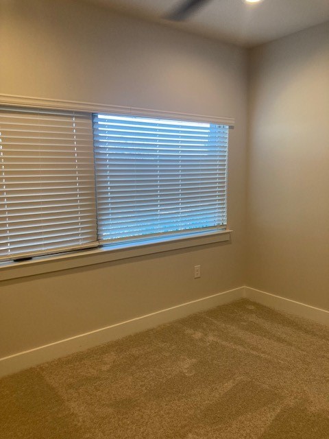 3411 Willow Springs Road, Unit B Austin, TX 78704 - Photo 13 of 23