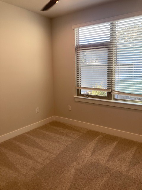 3411 Willow Springs Road, Unit B Austin, TX 78704 - Photo 18 of 23