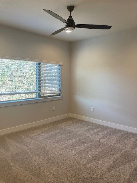 3411 Willow Springs Road, Unit B Austin, TX 78704 - Photo 8 of 23