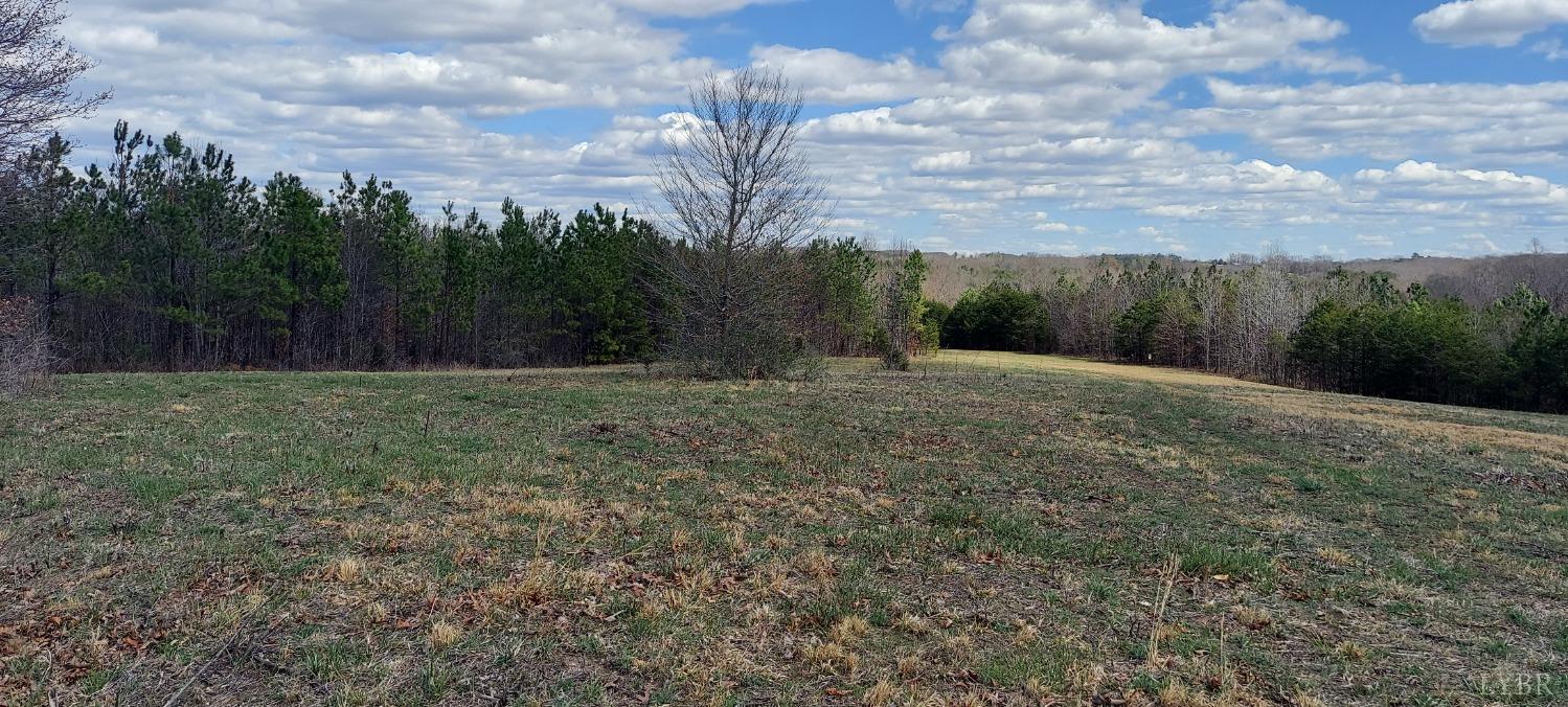 0 Hunter Road Brookneal, VA 24528 - Photo 4 of 6