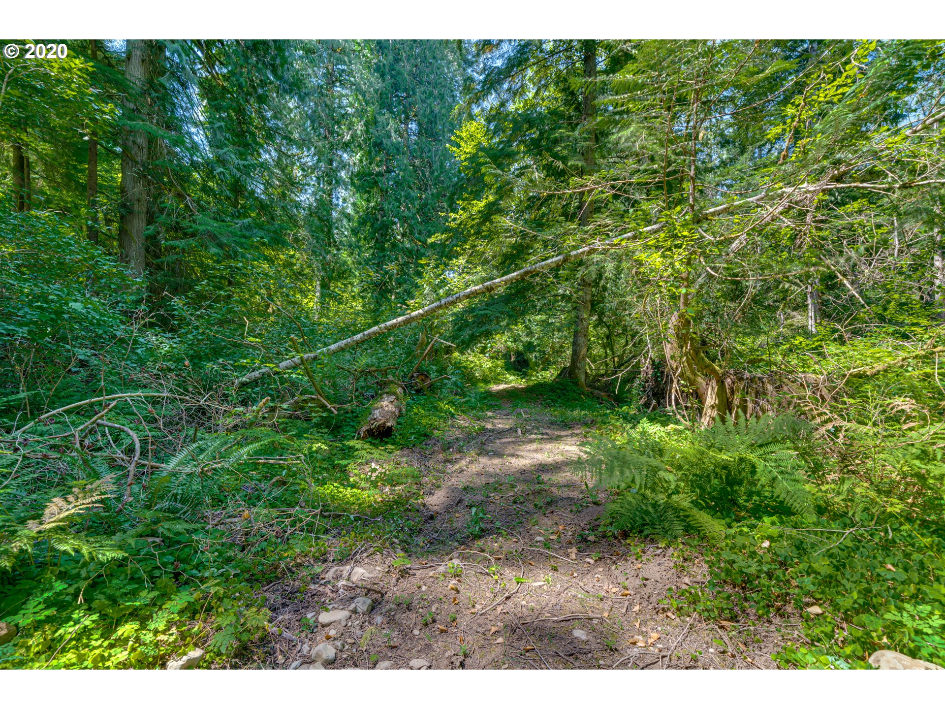 44360 Southeast Porter Road Estacada, OR 97023 - Photo 11 of 32 Gallery Image 11