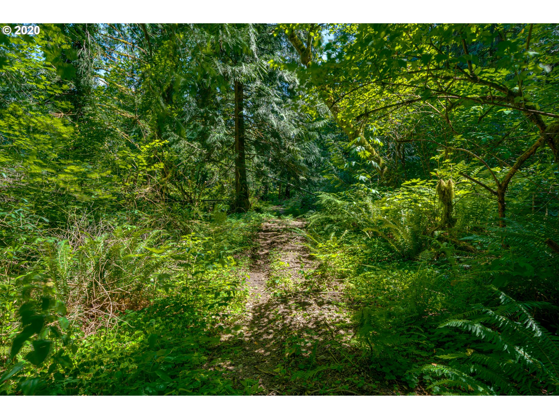 44360 Southeast Porter Road Estacada, OR 97023 - Photo 12 of 32 Gallery Image 12