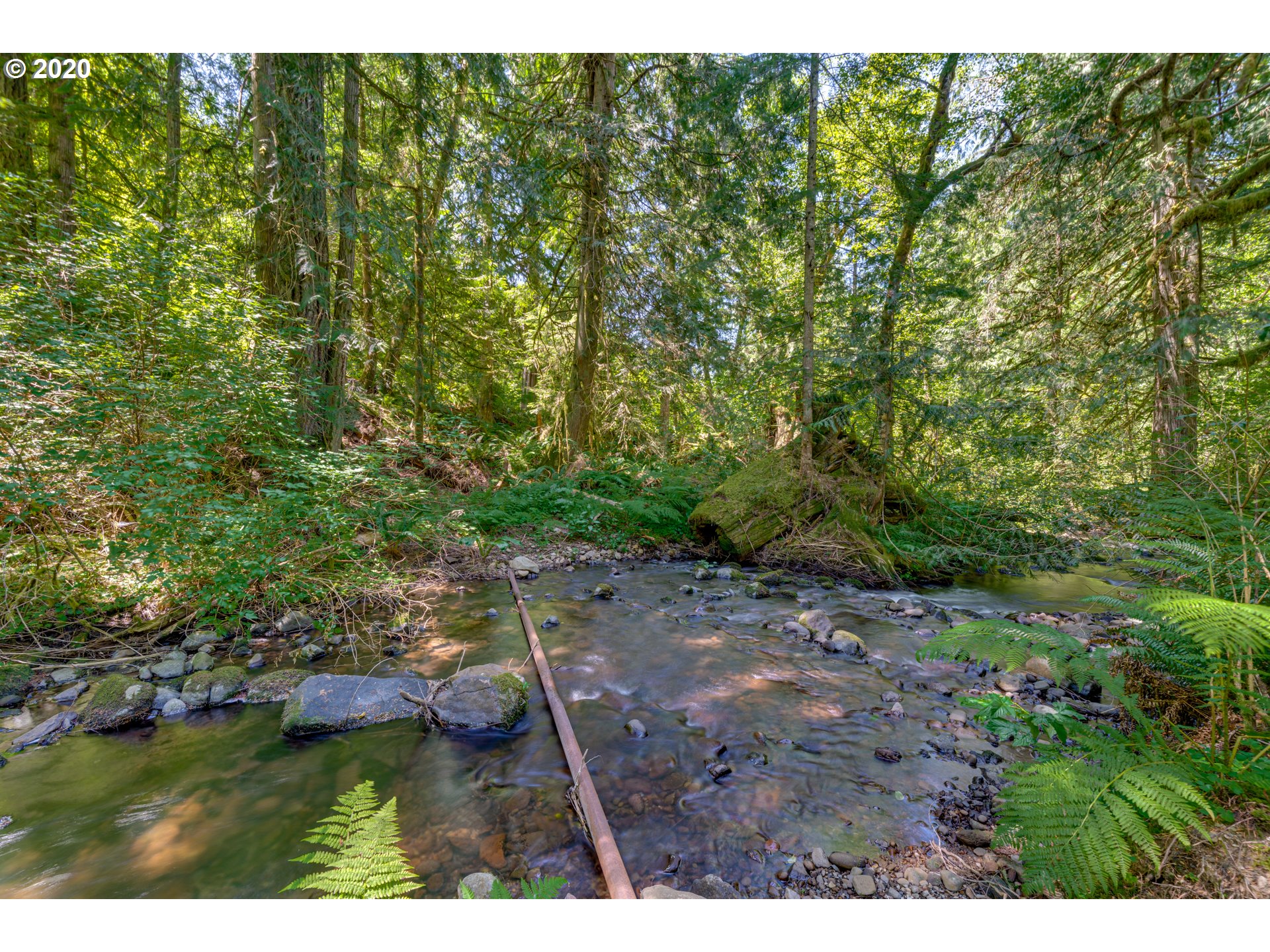 44360 Southeast Porter Road Estacada, OR 97023 - Photo 7 of 32 Gallery Image 7