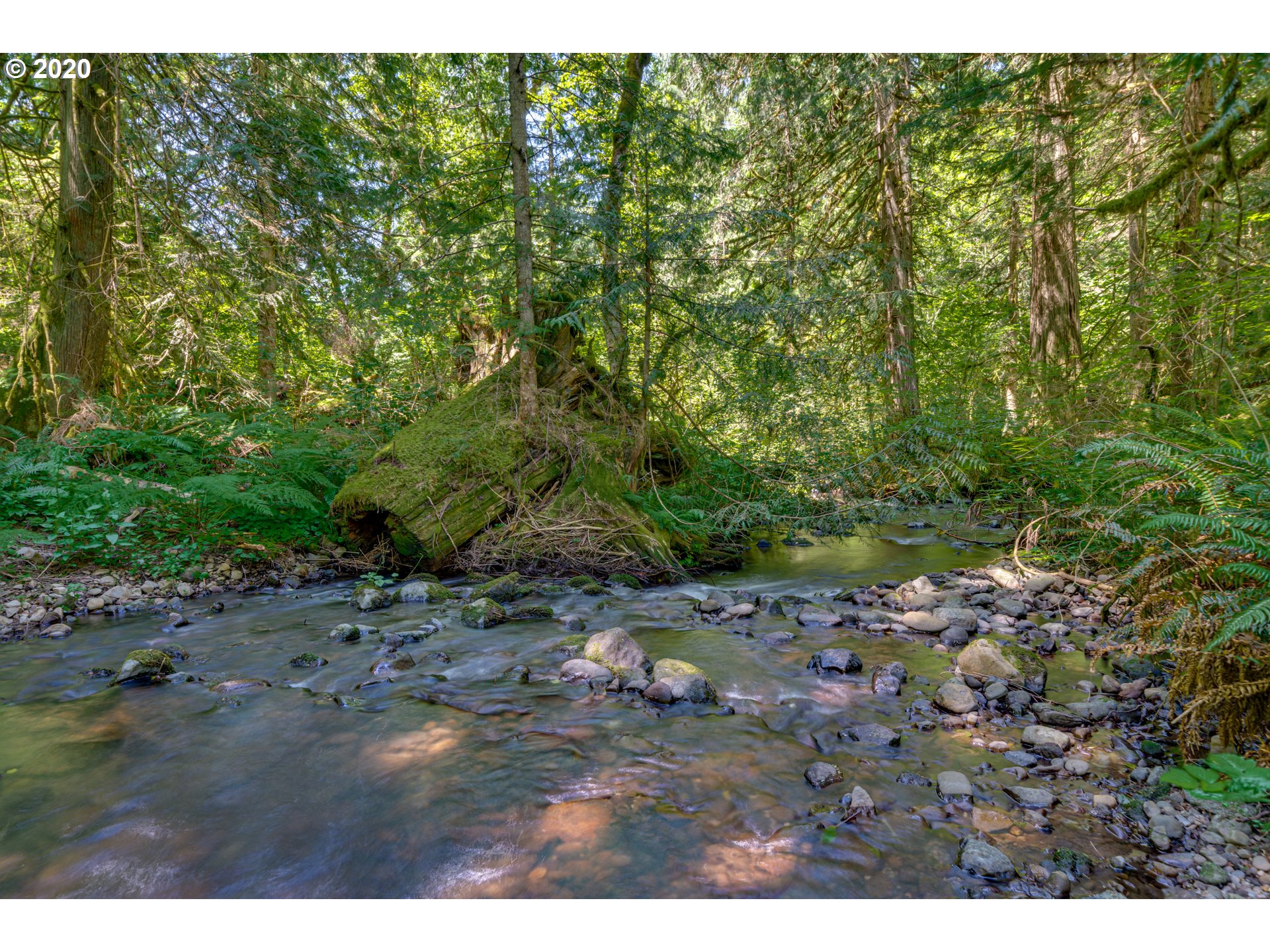 44360 Southeast Porter Road Estacada, OR 97023 - Photo 9 of 32 Gallery Image 9