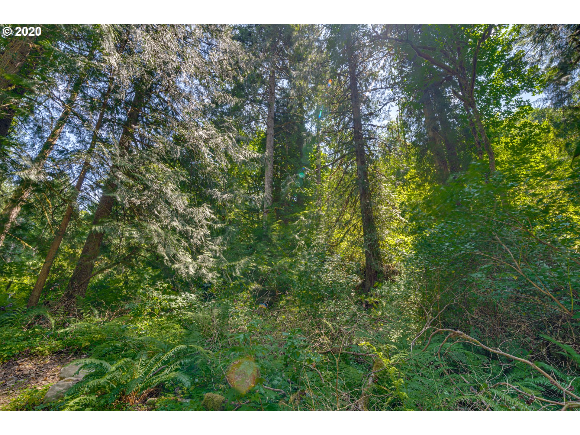 44360 Southeast Porter Road Estacada, OR 97023 - Photo 10 of 32 Gallery Image 10