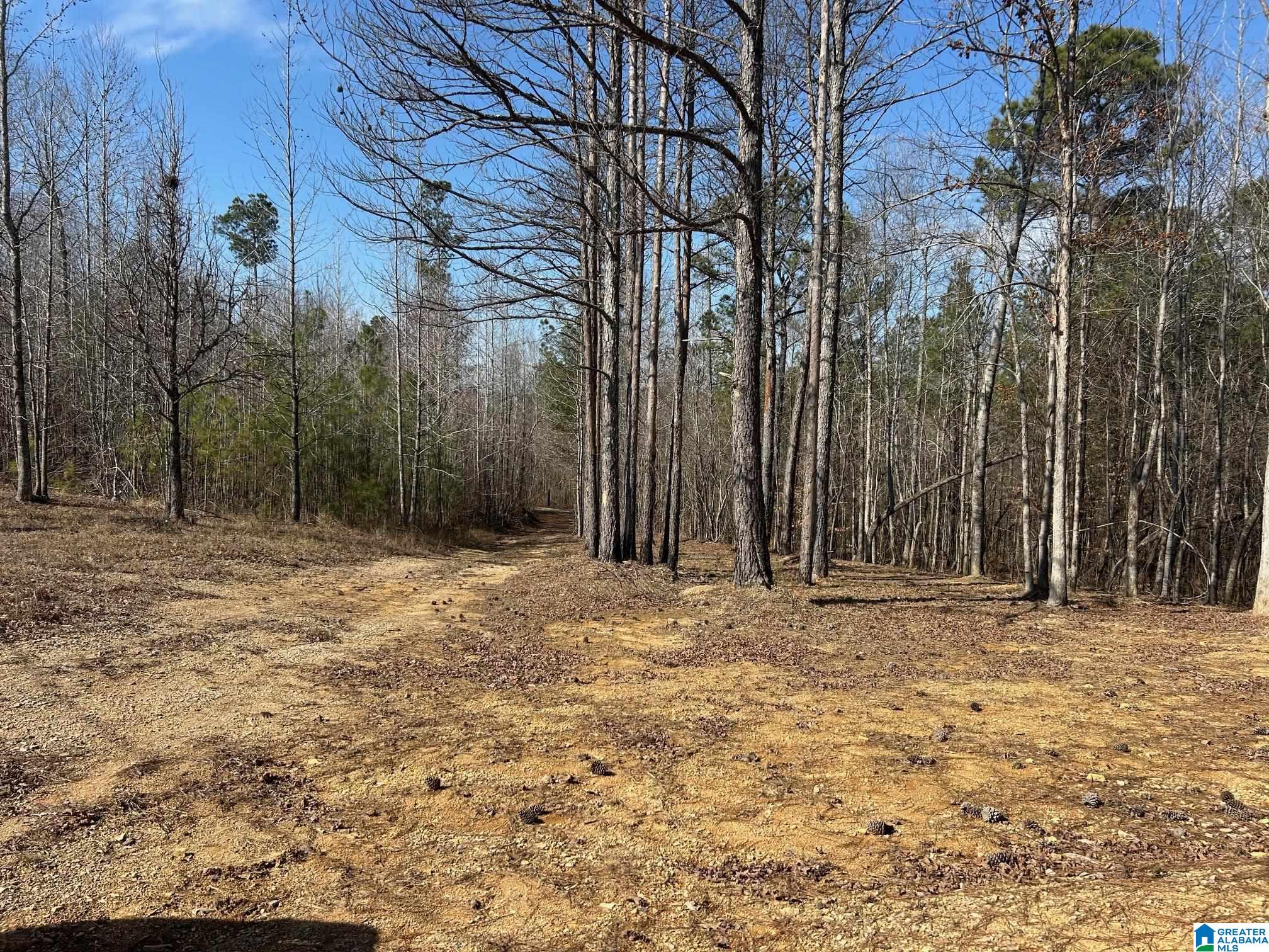 203 Pope Road Ohatchee, AL 36271 - Photo 29 of 31