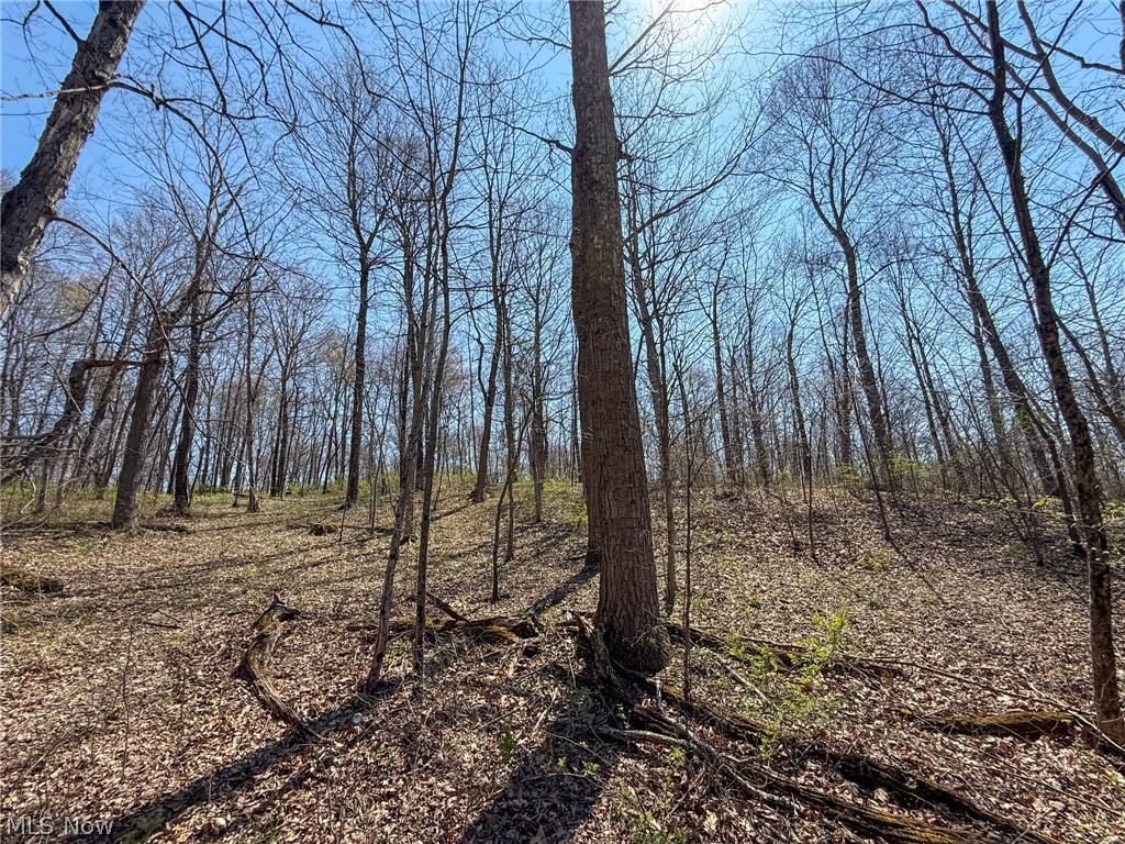 Claysville Road Cumberland, OH 43732 - Photo 23 of 47