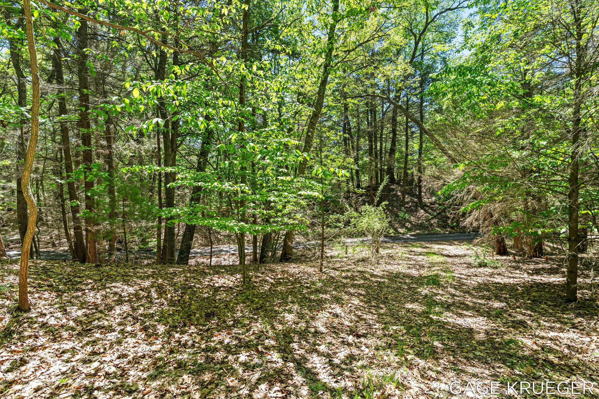 V/l West Thomas Road Shelby, MI 49455 - Photo 6 of 27 6-web-or-mls-DSC01599