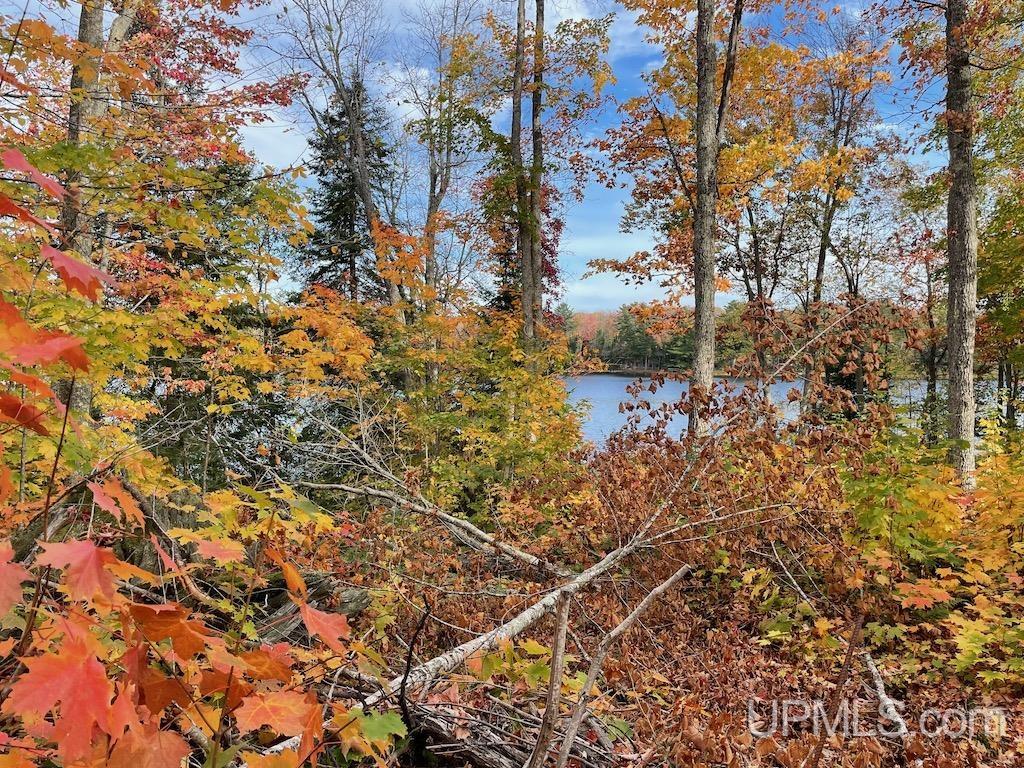 47-13 Carpenter Lake Road Seney, MI 49883 - Photo 6 of 18