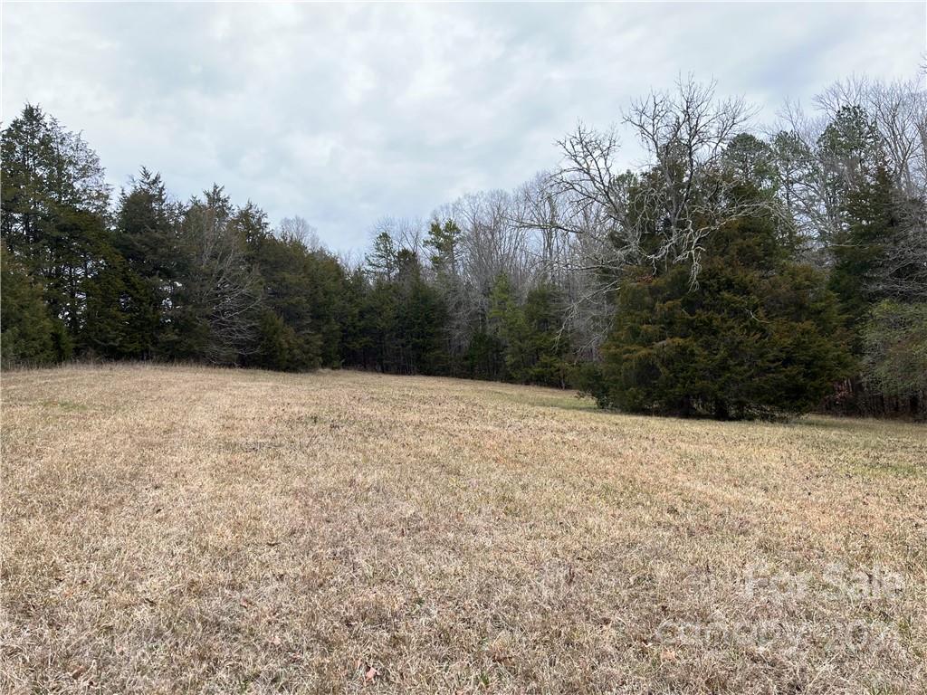 0 Shillinglaw Road Sharon, SC 29742 - Photo 31 of 32 a view of a dry yard with trees