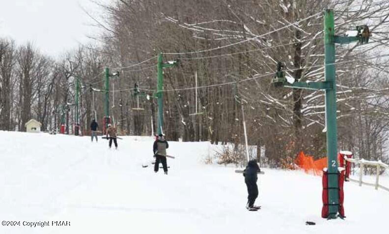706 Fawn Road Pocono Lake, PA 18347 - Photo 12 of 17 a view of outdoor space with lots of trees