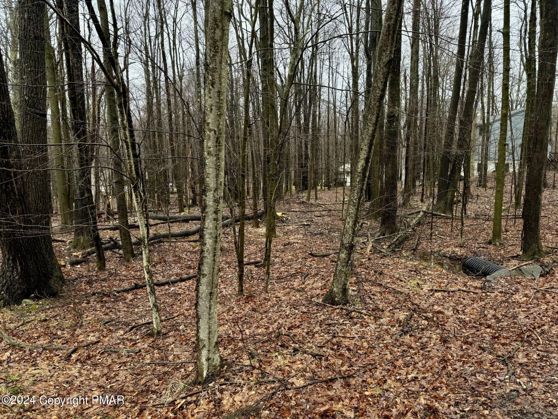 706 Fawn Road Pocono Lake, PA 18347 - Photo 2 of 17 a view of outdoor space with chairs