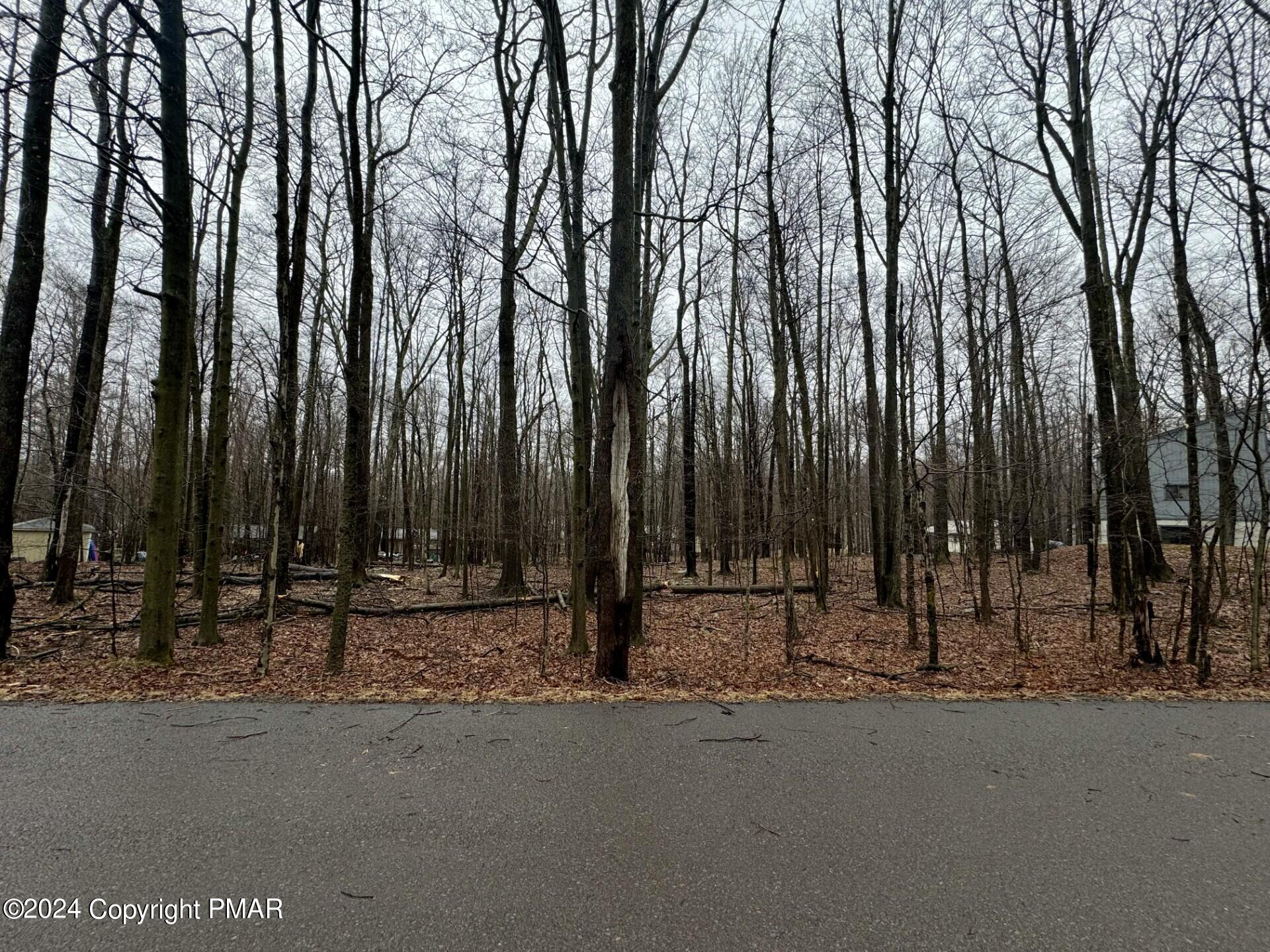 706 Fawn Road Pocono Lake, PA 18347 - Photo 3 of 17 a view of park with trees