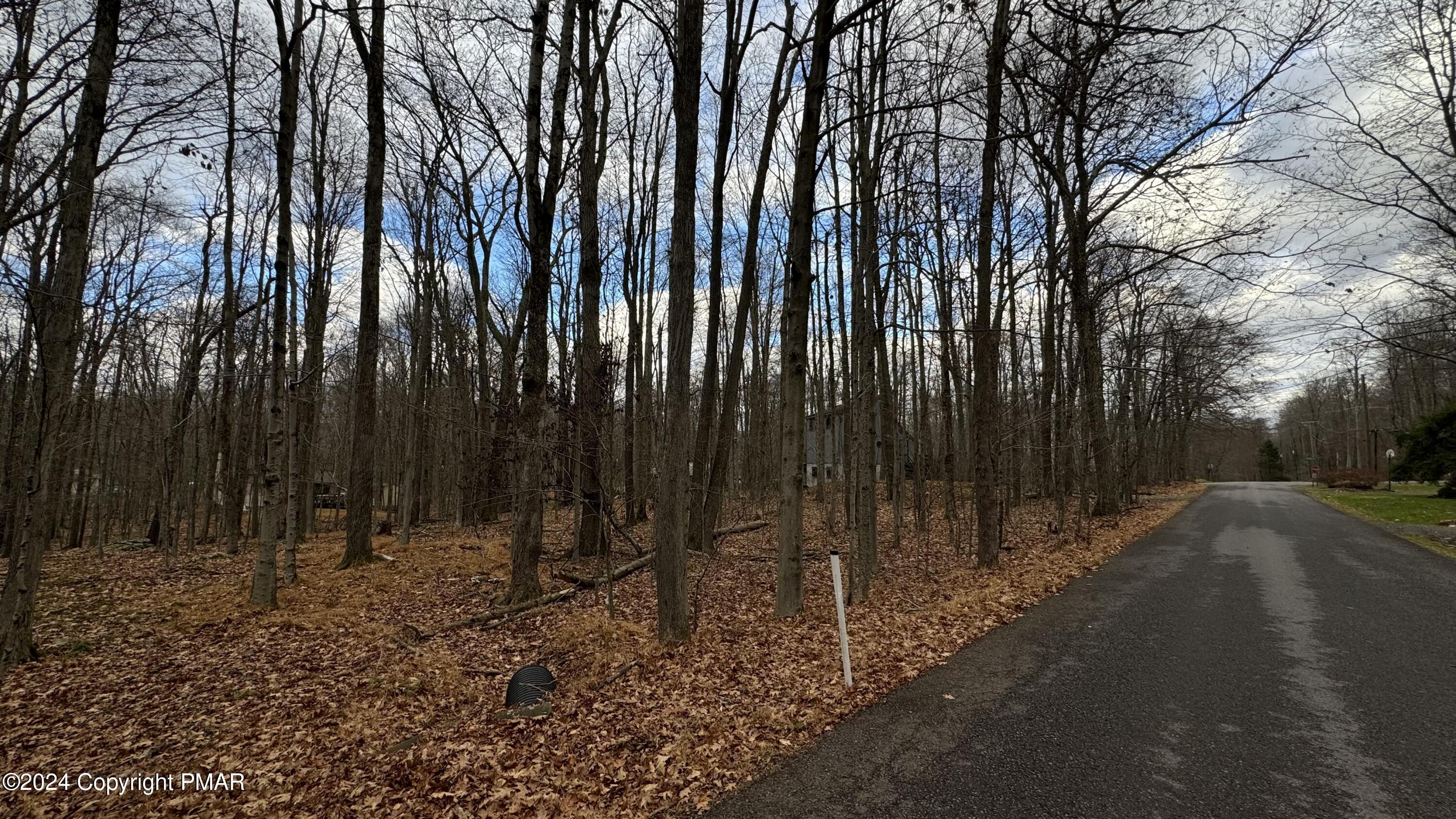 706 Fawn Road Pocono Lake, PA 18347 - Photo 4 of 17 a view of outdoor space with lots of trees