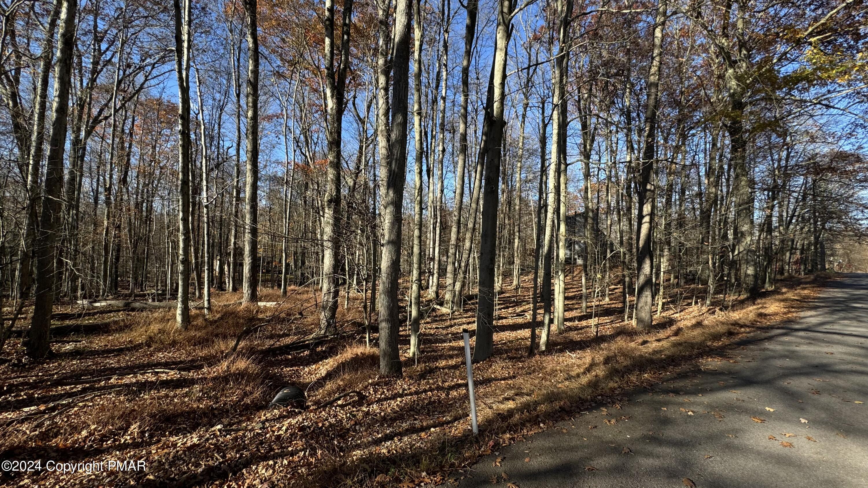 706 Fawn Road Pocono Lake, PA 18347 - Photo 5 of 17 a view of outdoor space with trees