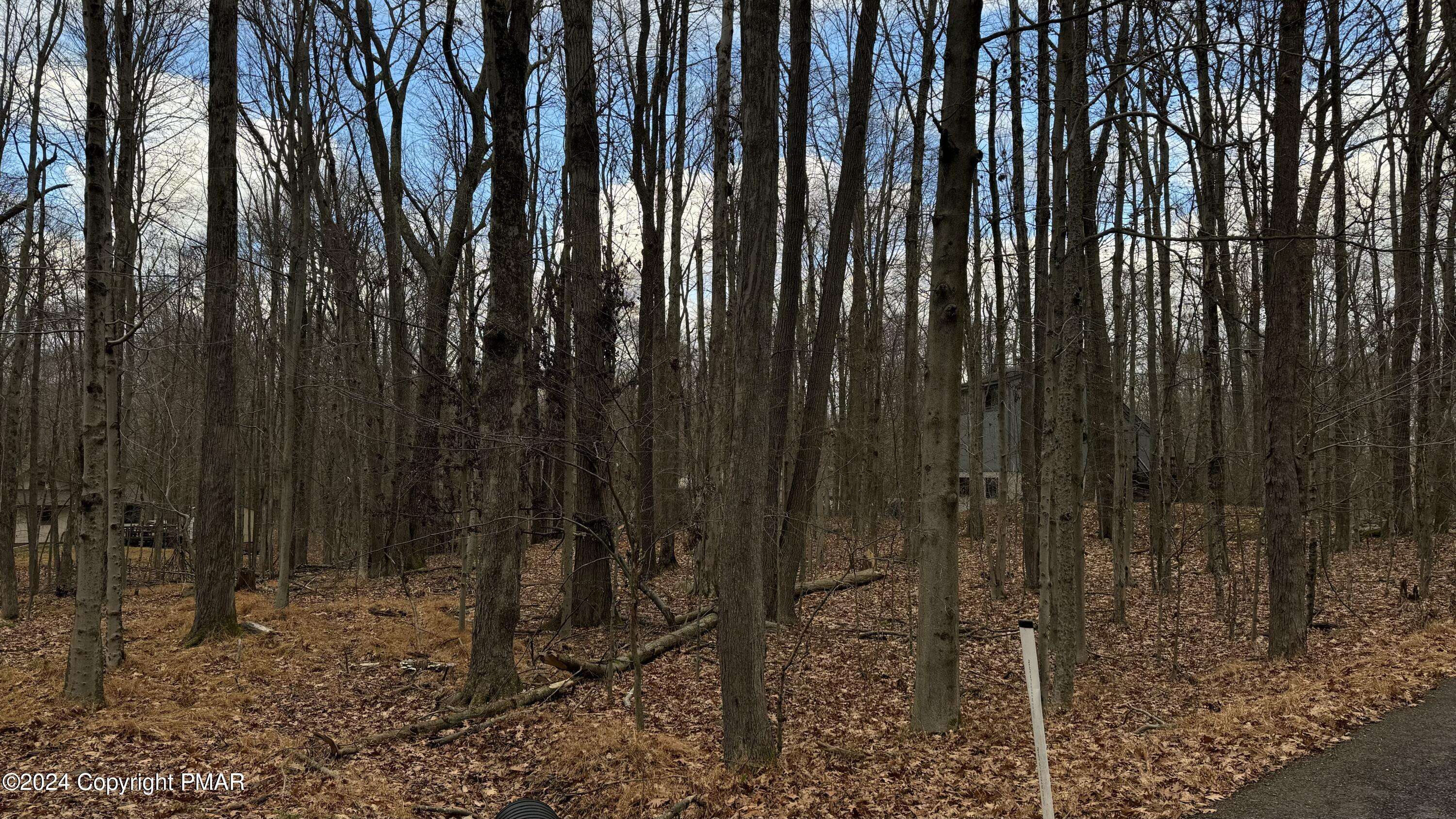 706 Fawn Road Pocono Lake, PA 18347 - Photo 6 of 17 a view of lots of trees