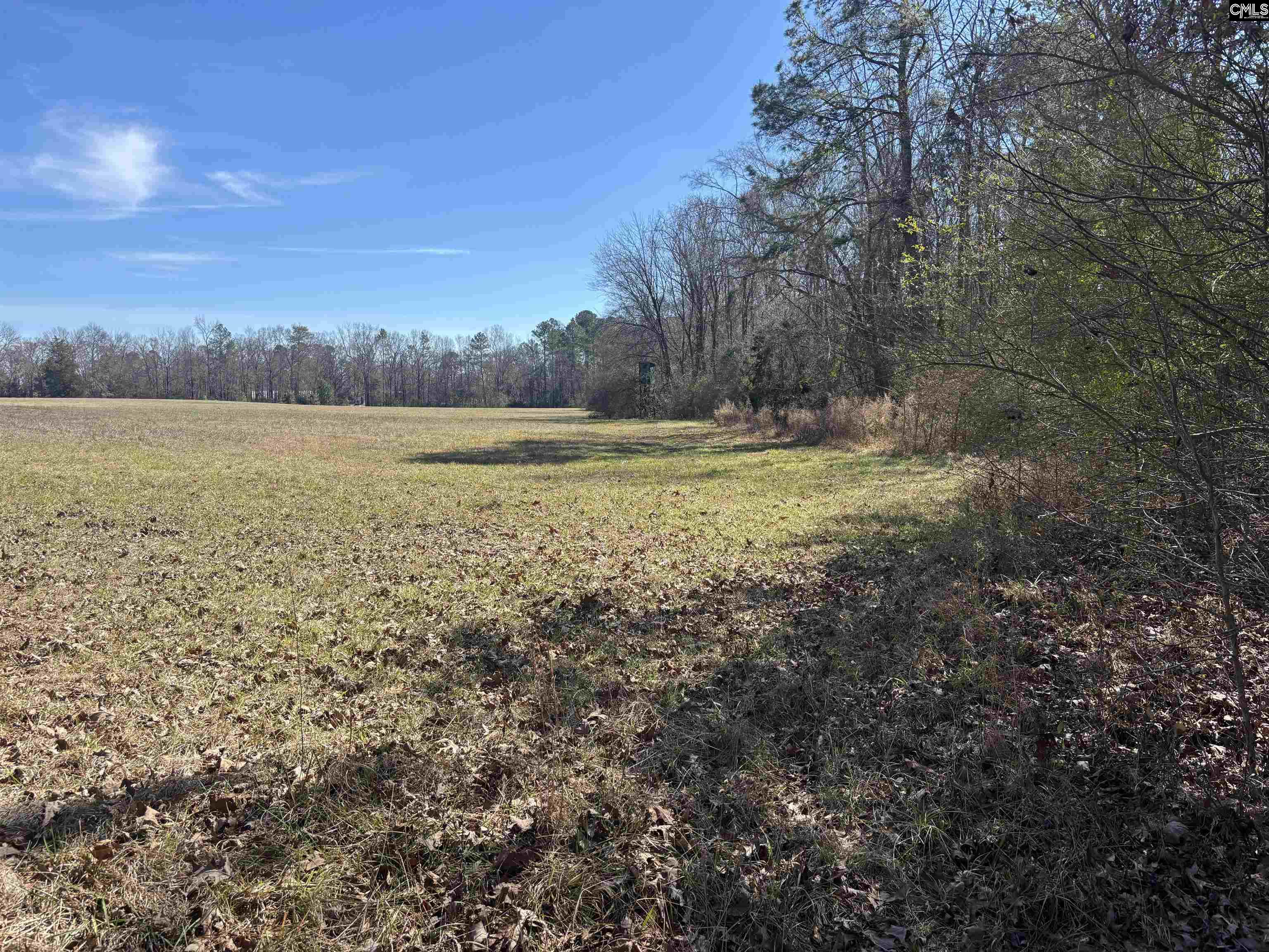 0 Bethany Road Saluda, SC 29138 - Photo 15 of 24