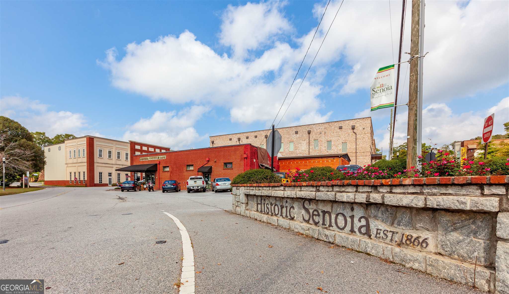 45 Bridge Street Senoia, GA 30276 - Photo 19 of 19 a view of a street with cars