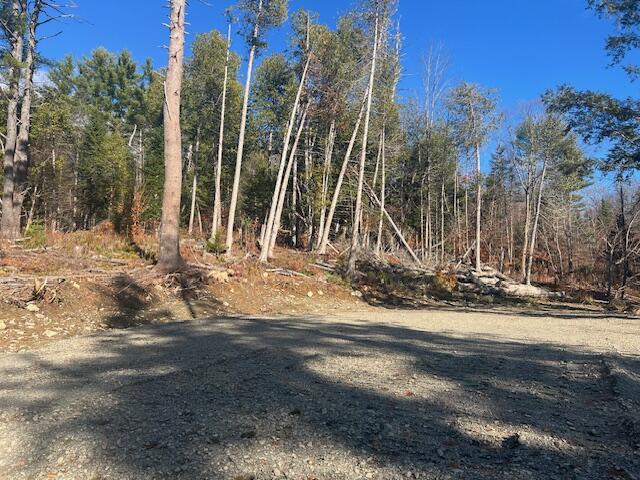 Lot 5 Peterson Road Dover-Foxcroft, ME 04426 - Photo 6 of 10