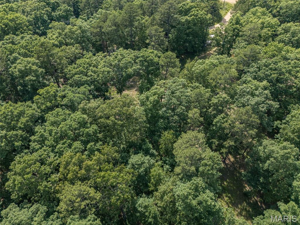 10130 Fish Hook Road Potosi, MO 63664 - Photo 18 of 29