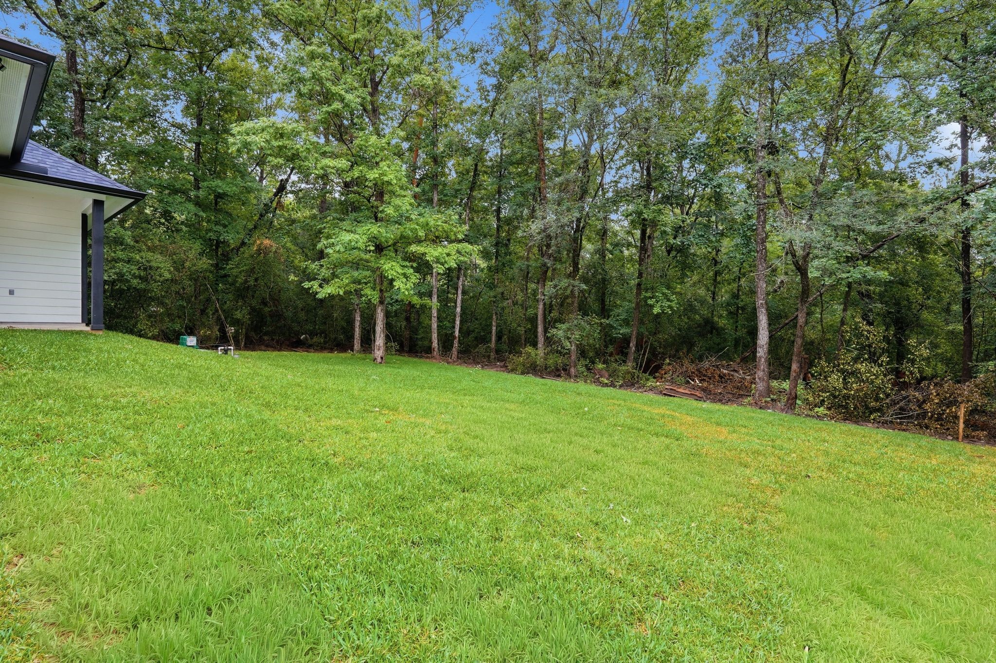 3575 Roy Bean Road Willis, TX 77378 - Photo 35 of 40 a view of a green yard with a house in the background