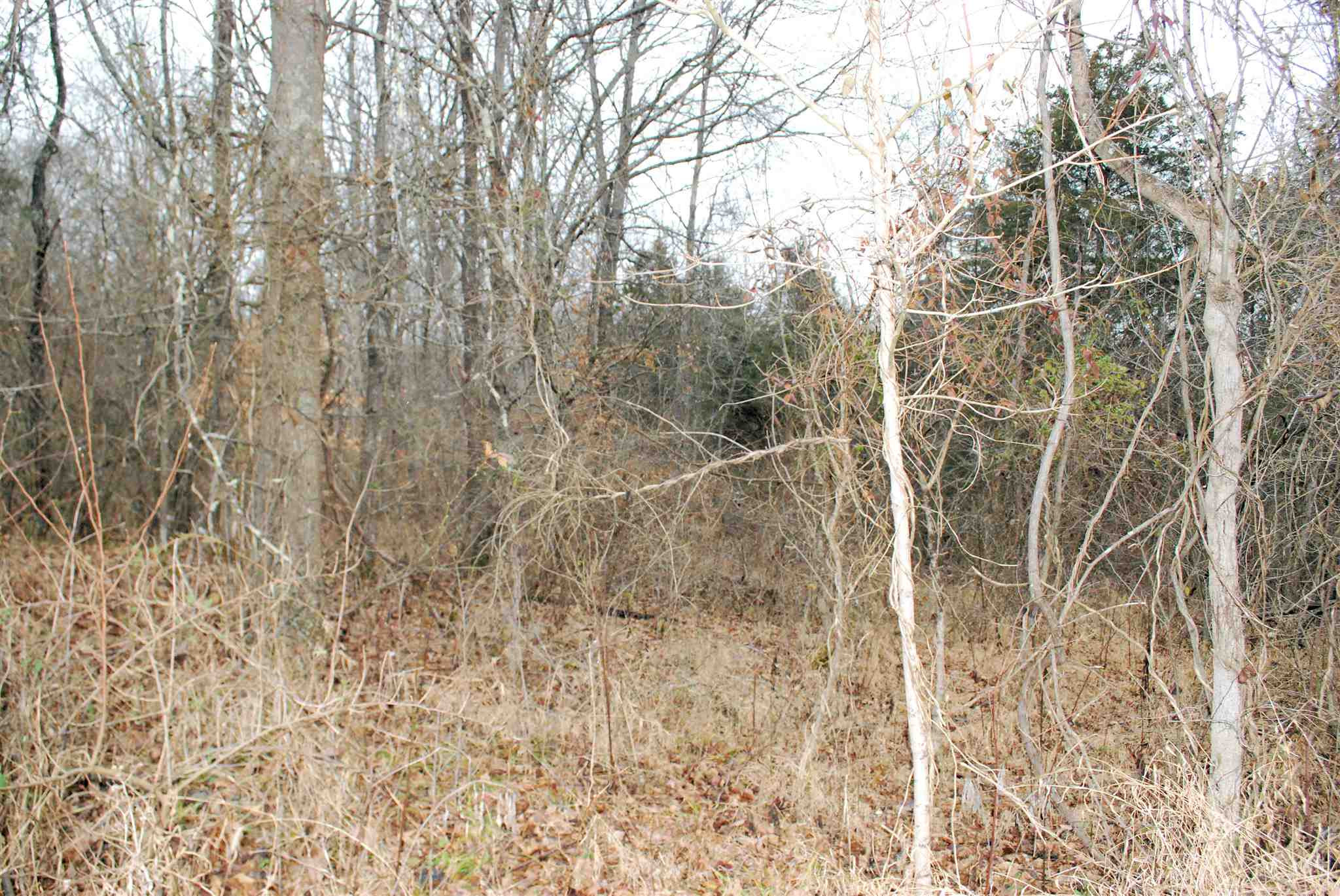 3710 Moffett Road Morning View, KY 41063 - Photo 9 of 25
