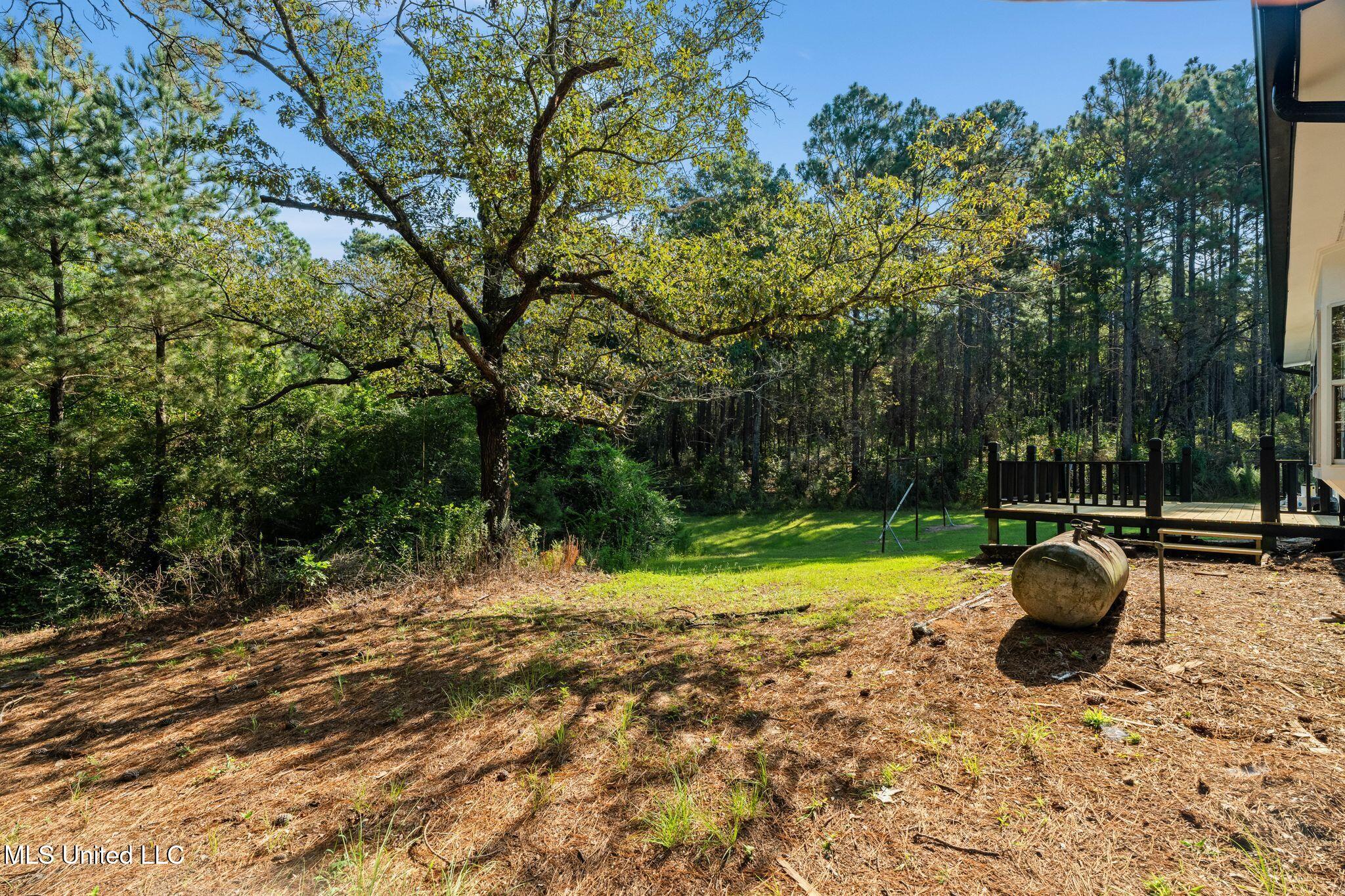 2225 Columbia Purvis Road Lumberton, MS 39455 - Photo 34 of 41 34_2225_Columbia_Purvis_Rd-34