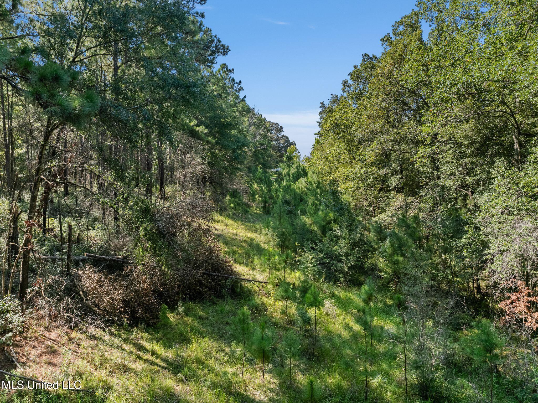 2225 Columbia Purvis Road Lumberton, MS 39455 - Photo 36 of 41 36_2225_Columbia_Purvis_Rd-36