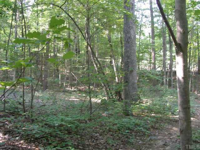 1028 Bahama Road Bahama, NC 27503 - Photo 4 of 10 A view of the woods along the BikeTrail/Footpath. Other