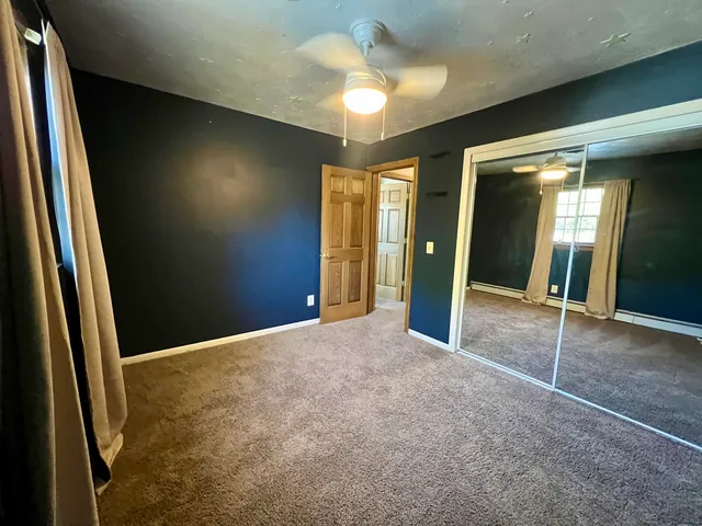 a bunch of flowers are in a garden