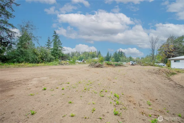 a view of a dry yard with trees