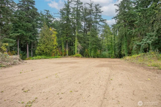 a view of road with large trees