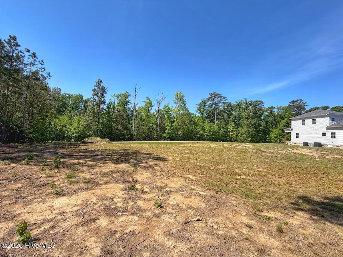 206 Riversedge Drive Winton, NC 27986 - Photo 11 of 43 11