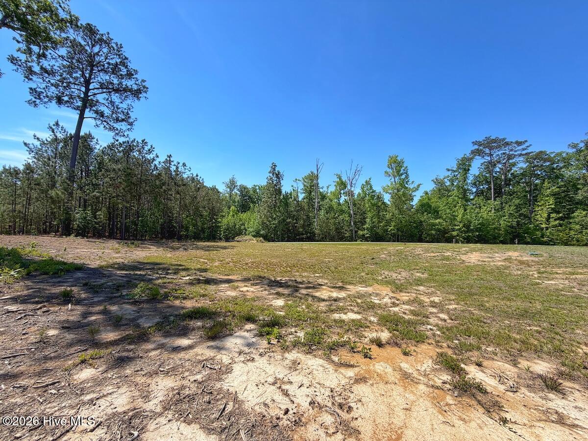 206 Riversedge Drive Winton, NC 27986 - Photo 12 of 43 12