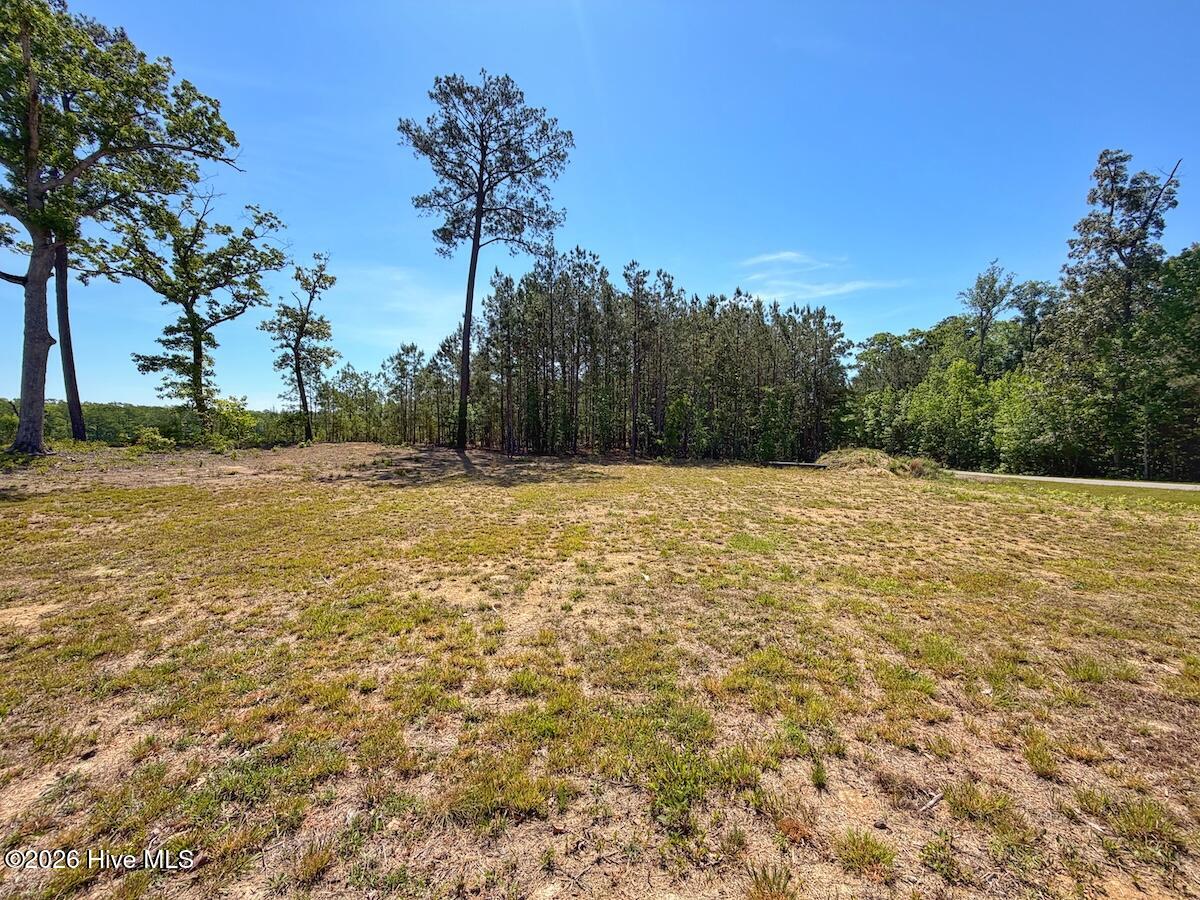 206 Riversedge Drive Winton, NC 27986 - Photo 15 of 43 15