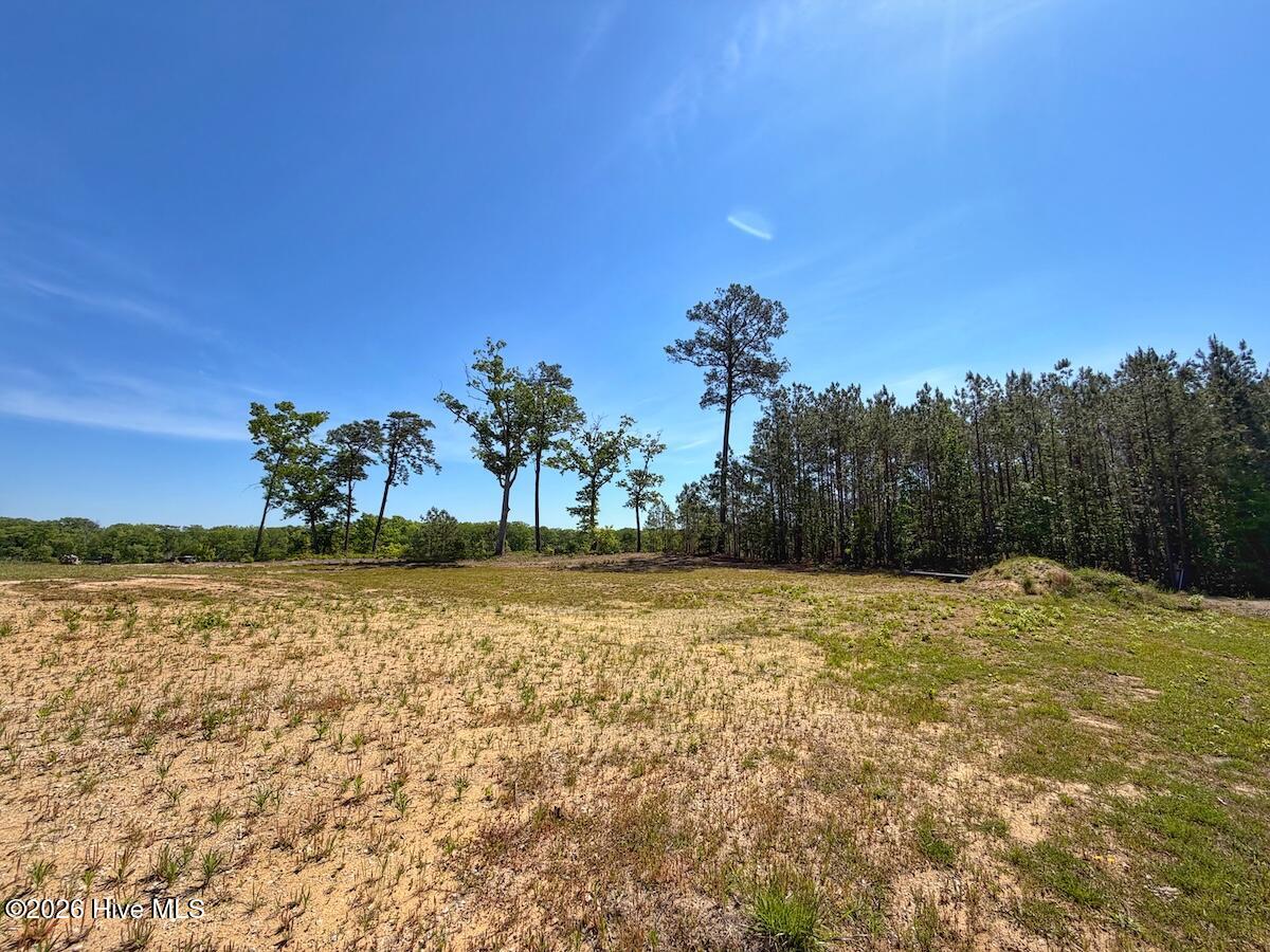 206 Riversedge Drive Winton, NC 27986 - Photo 17 of 43 17