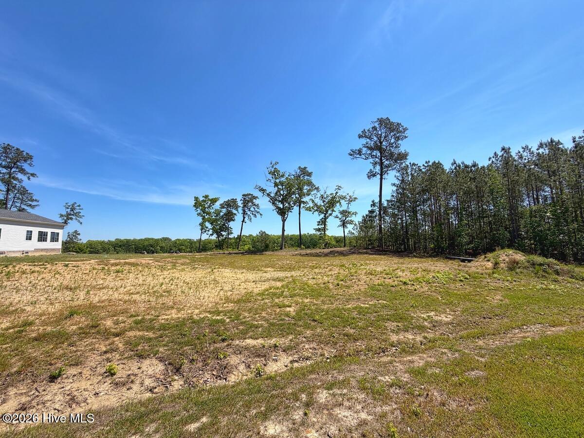 206 Riversedge Drive Winton, NC 27986 - Photo 19 of 43 19
