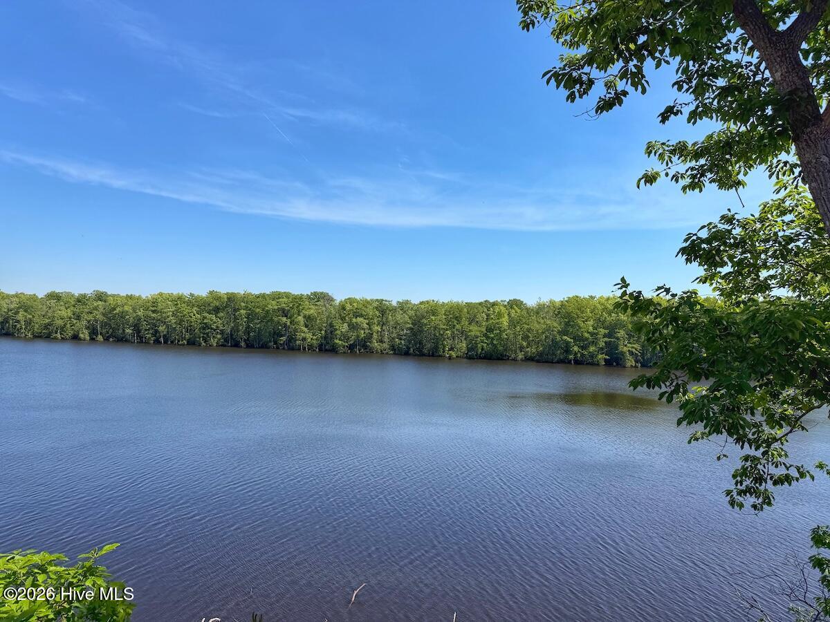 206 Riversedge Drive Winton, NC 27986 - Photo 10 of 43 10