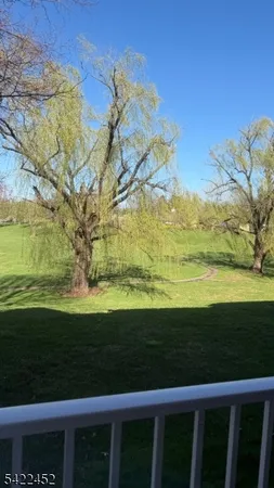 a view of a yard