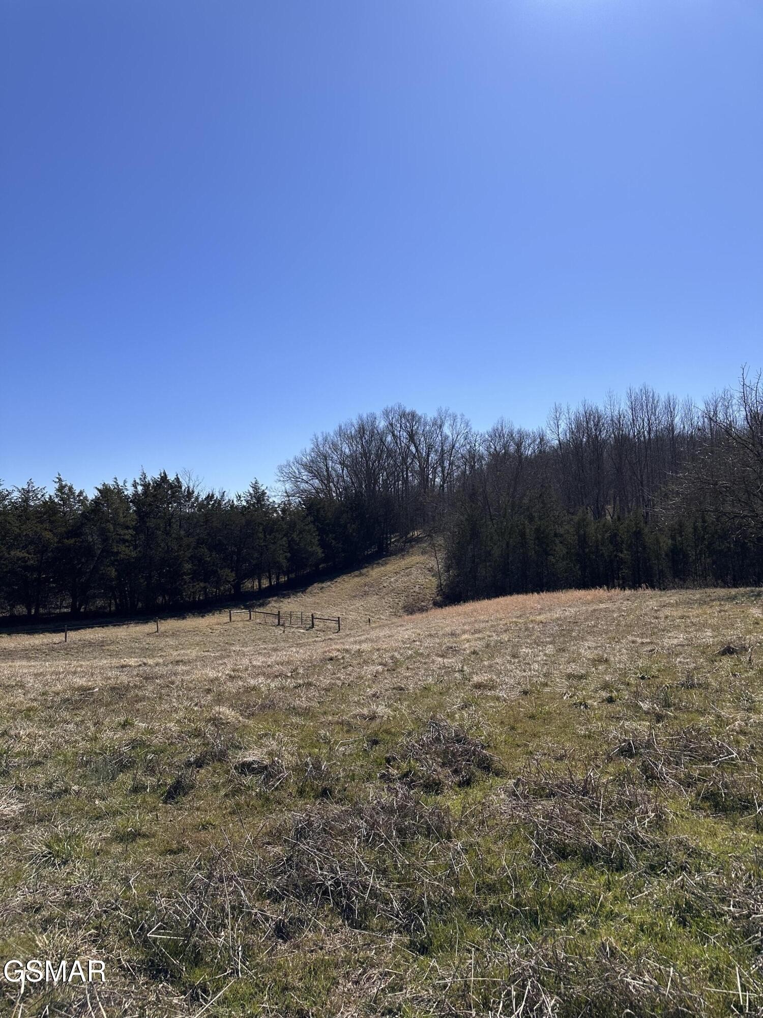 24265 South Mohawk Road Midway, TN 37809 - Photo 38 of 56