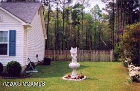 216 Borgo Court Havelock, NC 28532 - Photo 3 of 4 Side yard