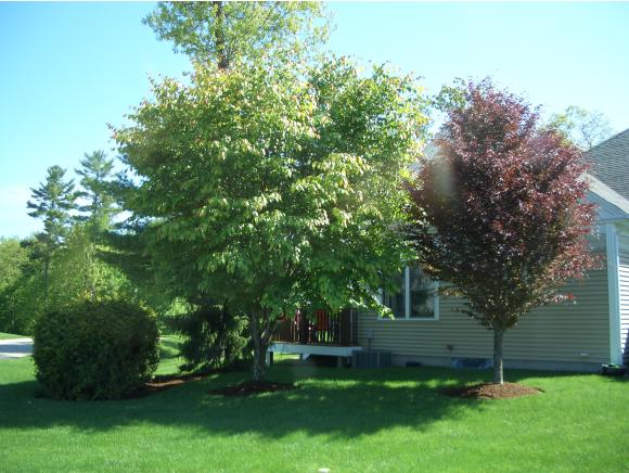 Lot 10 Worthen Road, Unit 10A Durham, NH 03824 - Photo 22 of 26